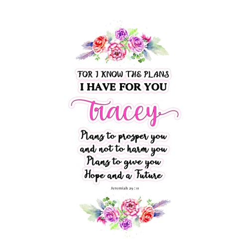 Sassy Name Journals I know the plans I have for you Tracey: Jeremiah 29:11 - Personalized Name notebook / Journal: Name gifts for girls and women: School College ... 6x9 Classy Succulent Floral Pink Design)