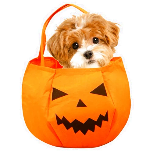 TAKANAP Halloween Candy Bucket, Halloween Pumpkin Candy Bags for Kids, Trick or Treat Tote & Candy Basket, Pumpkin Handbag. Best Gift for Halloween Party Decorations (Large Pumpkin)