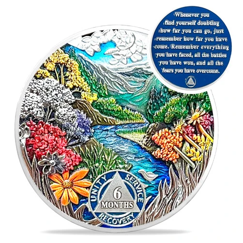 IELCJJ 6 Month Sobriety Coin - Recovery Seasonal Landscapes AA Coins - Summer NA HA AA Chips and Medallions - 1-12 Month Clean and Sober Narcotics Alcoholics Anonymous Gifts for Men Women