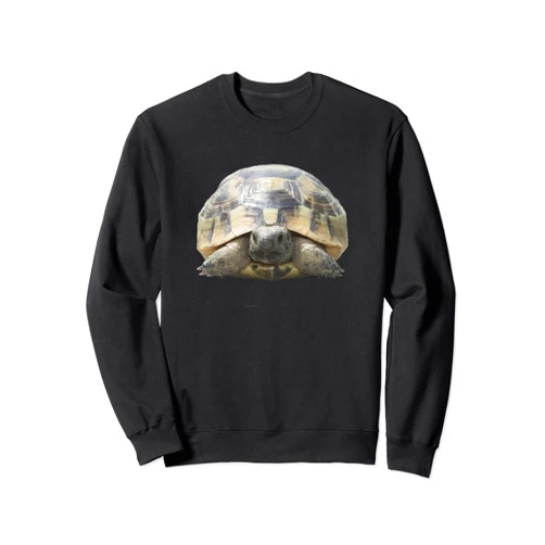 Tortoise Gifts And Land Turtle Tees by taiche Greek Tortoise Testudo Tucked In Shell Cut Out Sweatshirt