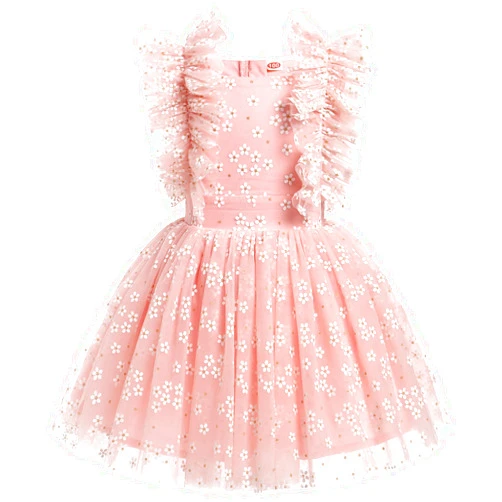 IBTOM CASTLE Girls Birthday Party Dress Butterfly Daisy Polka Dots Embroidery Princess Tulle Wedding Pageant Evening Gown