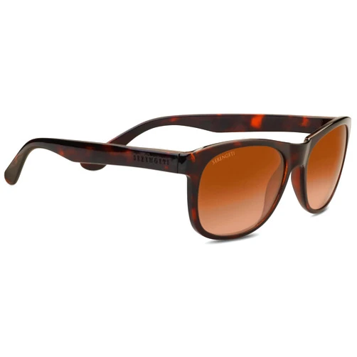 Serengeti Modern Anteo Sunglasses Matte Black Medium Large Unisex