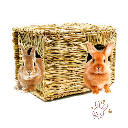 BWOGUE Extra Large Grass House for Rabbits,Hand Crafted Natural Grass Hideaway Foldable Bed Hut with Openings Playhouse for Bunny Guinea Pig Chinchilla Ferret for Play and Sleep
