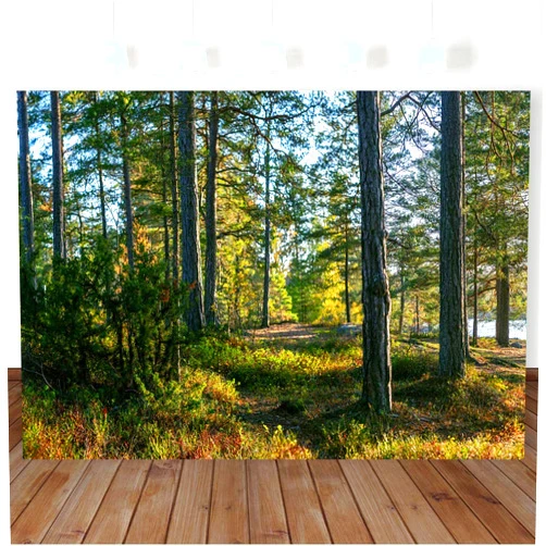 BewFar 7X5FT Aurora Forrest Photography Backdrop North Pole Lakeside Polaria Woodland Background for Party Supplies Kids Adults Portrait Photo Booth Studio Prop
