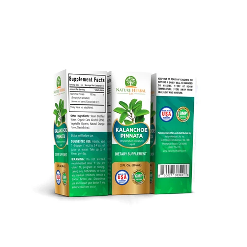 Nature Herbal Life 3 Bottles-Kalanchoe Pinnata (Bryophyllum Pinnatum), Glycerite, Dried Leaf and Stem Liquid Extract. Herbal Supplement, de Kalanchoe Pinnata-Siempreviva. 2 oz Each.