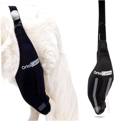 Ortocanis Dog Knee Brace for Torn Acl Hind Leg, Ligament Rupture and Patella Luxation - Dog Acl Knee Brace - Dog Braces for Back Leg for Support - Dog Back Leg Support Brace (Size XL, Left Leg)