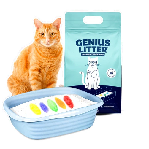 Genius Litter Health Indicating Cat Litter with Non-Clumping Lightweight Color Changing Silica Gel Crystals As Seen on Shark Tank, Non Clumping, Super Absorbent Odor Control (1 Bag (6lb))