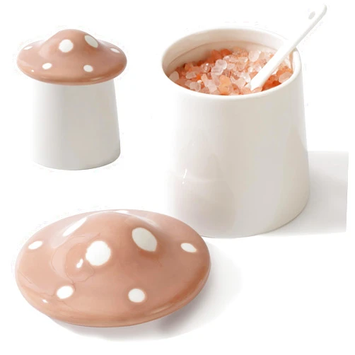 TreaHome Mushroom Salt Cellar with Lid, 11oz Salt Dish with Spoon, Salt Containers for Countertop，Multi-Purpose Salt Box, Salt Jar, Sugar Container，Mushroom Decoration
