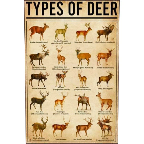 DHKDQ Halloween Types of Deer,10 x 15 inArt Picture Christmas Decor 3OOPCS Jigsaw Puzzles