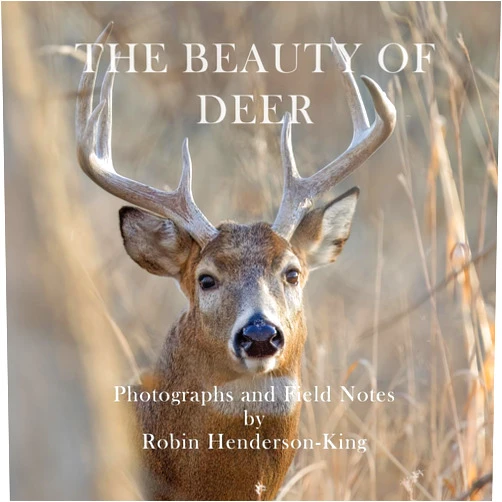 Robin Henderson-King The Beauty of Deer: Photographs and Field Notes