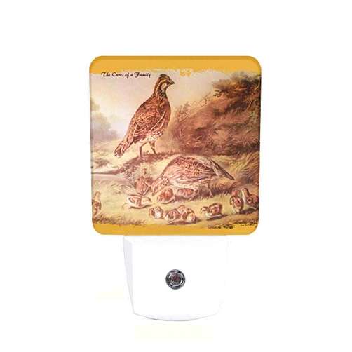 Chrobak LED Night Light,The Quail Cares Victorian Vintage Birds 1800S LED Night Light Plug into Wall with Dusk to Dawn Light Sensor White Energy Efficient Nightlight for Hallway Living Room Kitchen