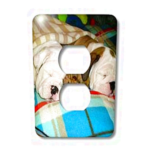 3dRose lsp_51655_6 English Bulldog Powernap Outlet Cover