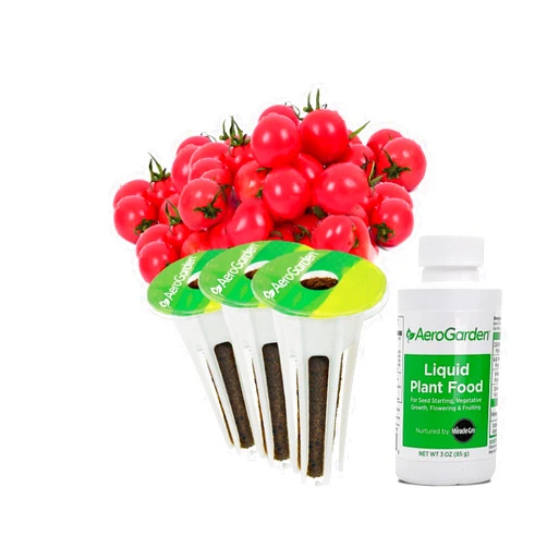 AeroGarden Mighty Mini Cherry Tomato Seed Pod Kit for AeroGarden Hydroponic Indoor Garden, 3-Pod
