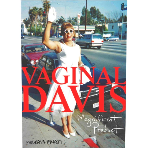 By Hendrik Folkerts (Editor), Vaginal Davis (Artist), Jennifer Doyle (Contributor), Darby English (Contributor), Lia Gangitano (Contributor), Sheldon Gooch (Contributor), Elisabeth Lebovici (Contributor), Tavia Nyong’o (Contributor), Frank Rodriguez (Contributor), Angela Seo (Contributor), Marc Siegel (Contributor), Jamie Stewart (Contributor), Lisa Teasley (Contributor), Julie Tolentino (Contributor), Wu Tsang (Contributor) & 11 more Vaginal Davis: Magnificent Product