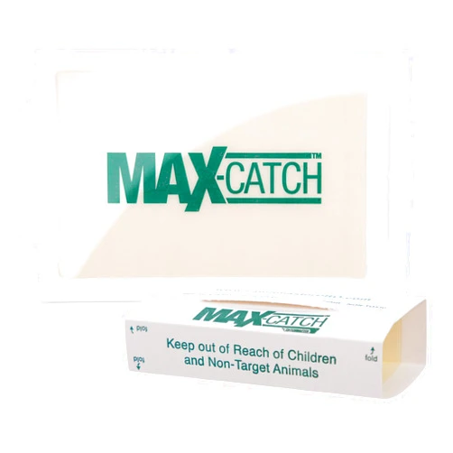 Catchmaster Max-Catch Mouse & Insect Glue Trap 36PK, Mouse Traps Indoor for Home, Sticky Pest Control Adhesive Tray for Catching Bugs, Rats & Rodents, Non Toxic Bulk Unscented Glue Boards