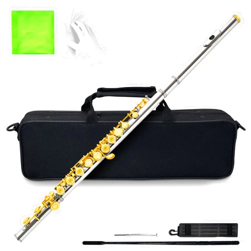 TianChunyue Closed Hole 16-Key Flute with Case, Cleaning Stick and Gloves - Suitable for Beginners and Professionals