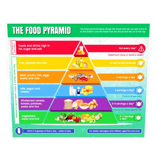 Above All Advertising Healthy Food Pyramid Chart | Diet and Nutrition Education Posters for Kids and Childrens | Food Stickers for Kids (11