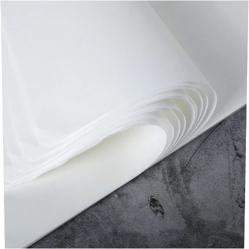 Skyygemm 50 Sheets Chinese Calligraphy Writing Rice Paper for Craft 10.2 x 14.2 Inch Chinese Japanese Paper Drawing Calligraphy Practice Paper Sketch Painting Xuan Paper Without Grids Art Supplies