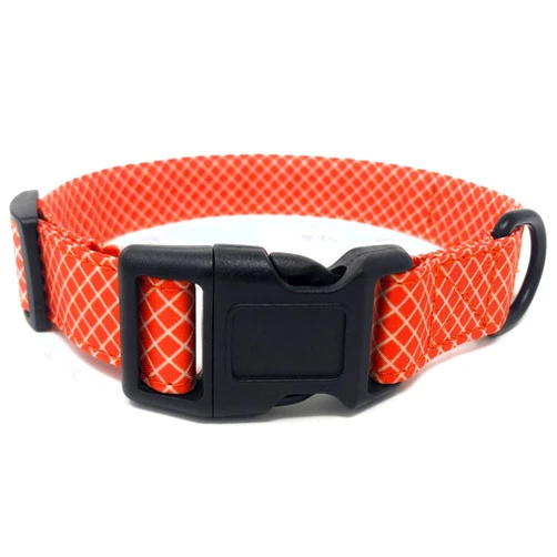 Regal Dog Products Cool Designer Collar | Adjustable Dog Collar with Custom fit for XS, Small, Medium, Large Dog, Cat, & Puppy | Fun Dog Gift Idea | Multiple Colors | Large (18 inches to 24 inches)