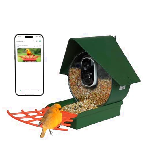 Birdkiss Smart Solar Feeder Camera: AI Identify WiFi Camera with Auto Bird Video Capture & Instant Notifications, Ideal Bird Lover Gift, Olive Green…