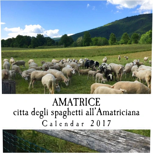By Michelle Ann Kratts (Author), Robert Borgatti (Photographer), Todd Davis (Photographer) & 0 more Amatrice; citta degli spaghetti all'Amatriciana: Calendar 2017