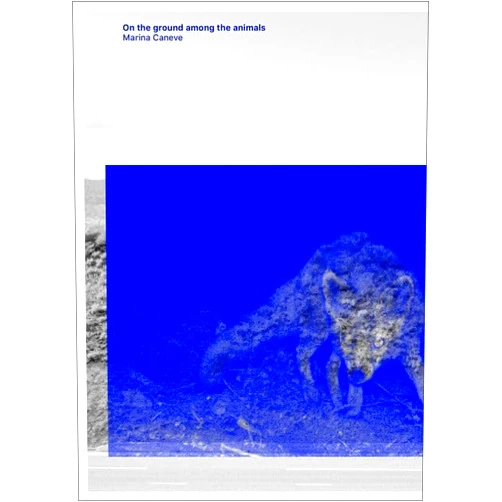 By Marina Caneve (Author) Marina Caneve — On the ground among the animals