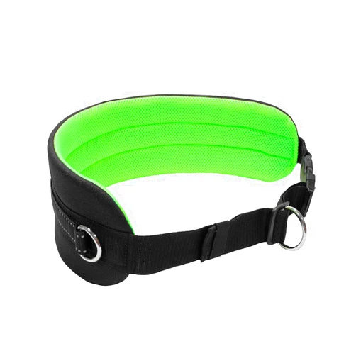 LASALINE Waist Belt for Canicross Skijoring Running Walking Hiking with Dog - Black Neongreen