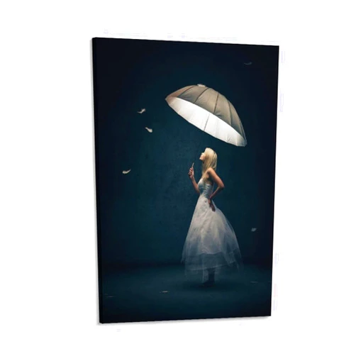 Generic Girl Holding Umbrella And Falling Feathers Art Poster Wall Art Canvas Painting Poster Art Picture Living Room Decoration12x18inch(30x45cm)