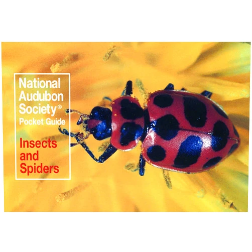 National Audubon Society Pocket Guide: Insects and Spiders