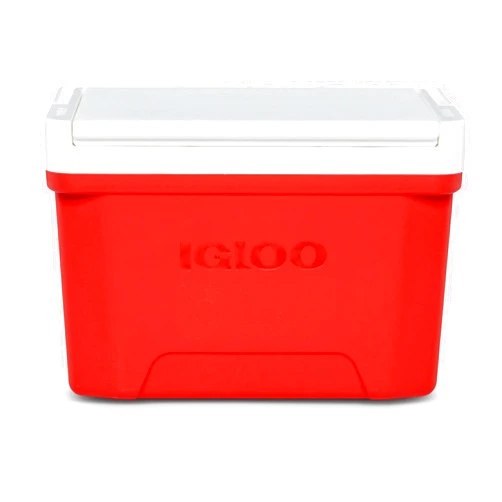 Generic Igloos Laguna Small 9 QT Ice Chest Cooler, Fuchsia Burst, Hard Shell Portable Cooler Box, with Tray Lid and Cup Holders, Cool Riser Technology, Easy Clean, Travel, Beach, Camping