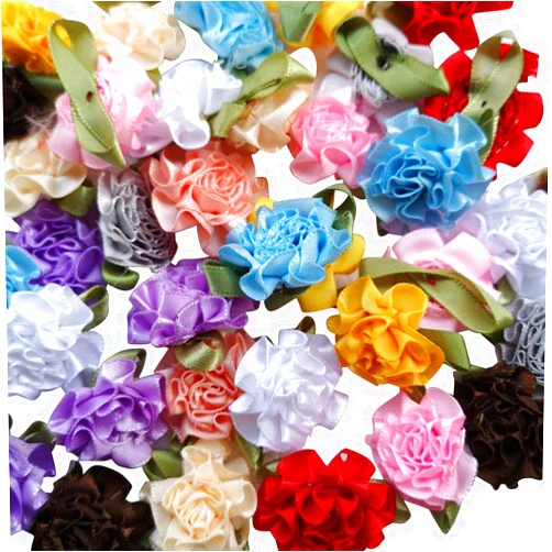 Chenkou Craft 40pcs Ribbon Flowers Bows Carnation Appliques Sewing Craft (Multi)
