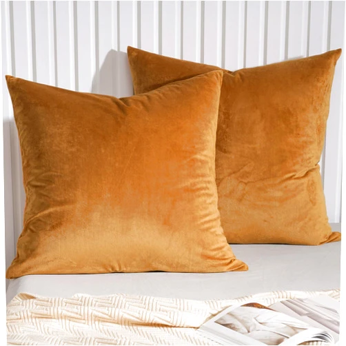 PHF Super Soft Velvet Euro Sham, 26