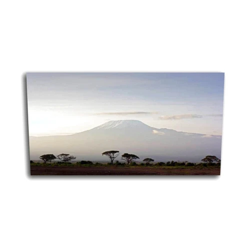 TWSLFFAXDUS Wall Art for Living Room Kilimanjaro Print On Canvas Wall Decor Painting Posters Office Modern Home Decoration 20x40 inches Ready to Hang