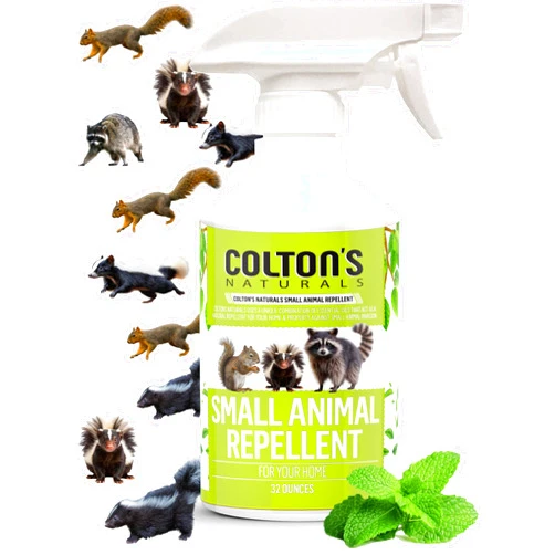 Colton's Naturals All Natural Rodent Repellent Spray- Perfect for: Racoons, Rats, Squirrels, Rabbits, Skunks, Gophers and Many Small Animals. Indoor and Outdoor Deterrent- Garage, Yard, Trash cans Car Engine(32)