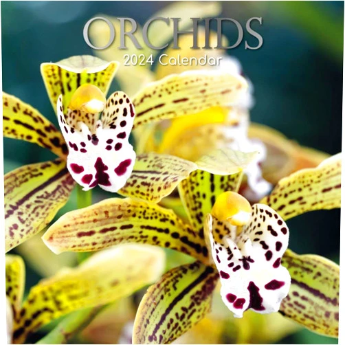 The Gifted Stationery Co Ltd, Orchids 2024 Wall Calendar