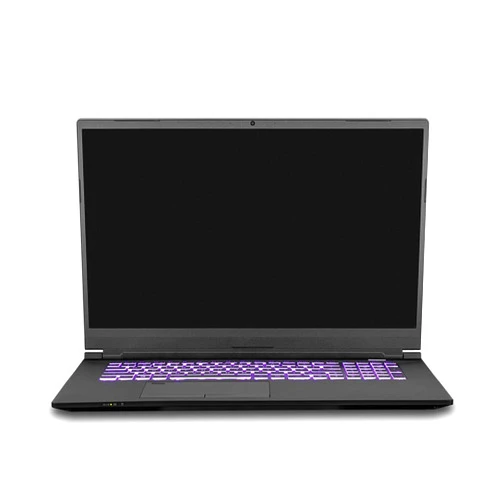 Clevo PC70DF1 Gaming & Business Laptop (Intel i7-10875H 8-Core, 8GB RAM, 512GB PCIe SSD, RTX 2070 (Max-Q), 17.3