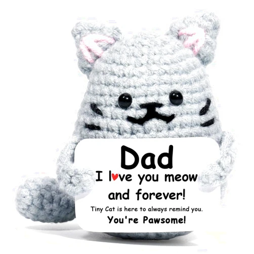 AICase Funny Cat Gifts for Dad from Daughter Son, Fathers Day Birthday Ideas Cool Crochet Cute Gag Small Things Stuff Presents Cat Lovers Gifts for Men Christmas Best Dad Ever Who Wants Nothing