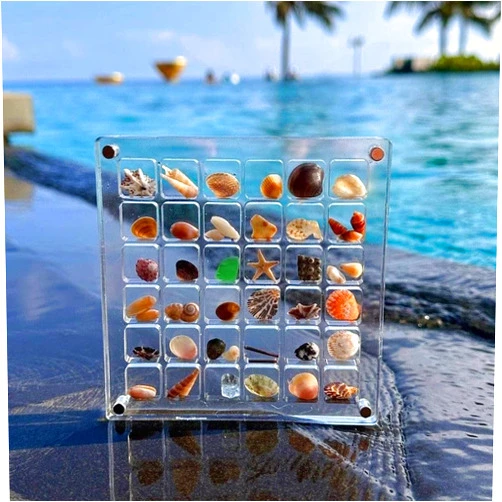 XronSlute 2Pcs Acrylic Magnetic Seashell Display Box,DIY Seashell Display Box,Clear Storage Box for Seashell,Gemstones,Nail,Jewelry (2Pcs 36 Grids Small)