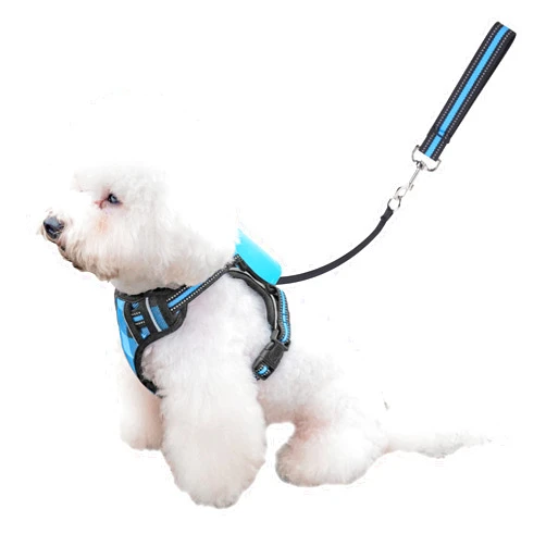 HPPZITONG Dog Harness and Leash Set |Dog Vest Harness with 6 ft Multifunction Retractable Dog Leash | with One-Button Control,One-Handed Brake, Tangle Free (M)