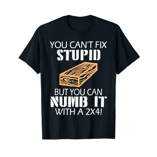 Funny Trending Gift Tee For Women Men You Can't Fix Stupid But You Can Numb It With A 2x4 Funny T-Shirt