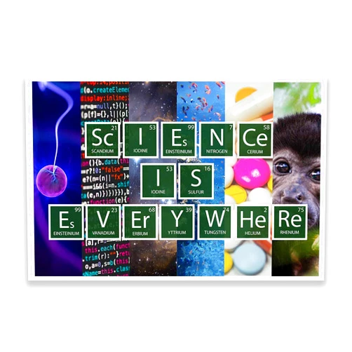 DHDM Designs Classroom Poster Science is Everywhere Poster | Really Cool Unique Posters Designed for Classrooms 12-Inch by 18-Inch | Science Class Posters JSC819