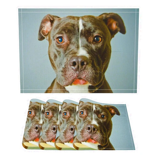 Zenladen022 Pit Bull Dog Placemats Washable Heat Resistant Flax Table Mats for Dining Kitchen Decor 4PCS