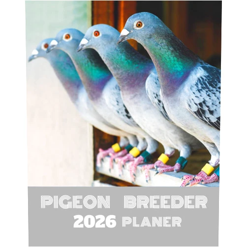 Ted Breeder Pigeon Breeder: For Pigeon Lovers | Pigeons Loft Organizer and Band Number Tracker for Managing All Important Data to Improve Results Year By Year. ... Help How to Breed Homing Pigeons in Fancier.