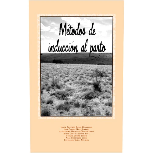 Spanish Edition by Jorge Augusto Salas Hernández (Author), Luis Carlos Moya Jiménez (Author), Alessandro Magnelli Grattagliano (Author), María Cruz Esquinas Vega (Author), Mèdard Donzo Tobele (Author), Pilar Rodríguez López (Author), Esperanza Gadea Niñoles (Author) & 5 more Métodos de inducción al parto (Spanish Edition)