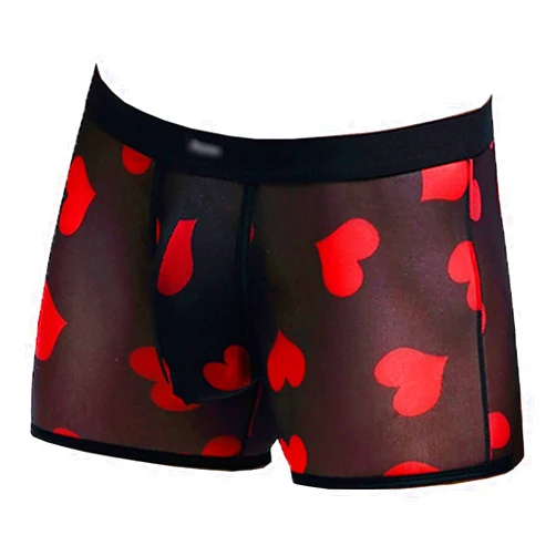 EXmalAia Men's Underwear Sexy Mesh Breathable Boxer Briefs Low Rise Cool Boxers Pack Set