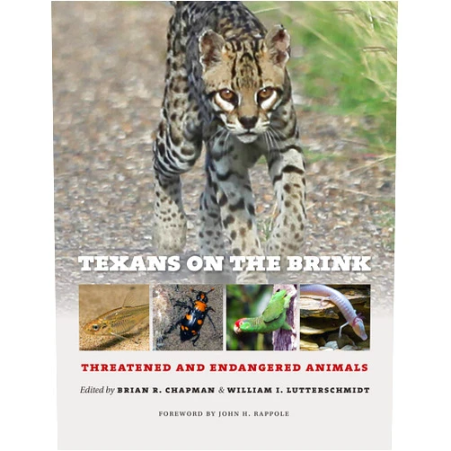 By Brian R. Chapman (Editor), William I. Lutterschmidt (Editor), John H. Rappole (Foreword), Dr. Neil B. Ford (Contributor), David Ford (Contributor), Jeremy D. Maikoetter (Contributor), Timothy H. Bonner (Contributor), Chad W Hargrave (Contributor), David S. Ruppel (Contributor), Nicky M. Hahn (Contributor), Robert J. Edwards (Contributor), Paige Najvar (Contributor), William Godwin (Contributor), Mary Jones (Contributor), David J. Berg (Contributor), Ned E. Strenth (Contributor), Jerry L. Cook (Contributor), Benjamin T. Hutchins (Contributor), Anthony A. Echelle (Contributor), Alice F. Echelle (Contributor), J. Curtis Creighton (Contributor), D. Craig Rudolph (Contributor), Josh Pierce (Contributor), Loren K. Ammerman (Contributor), Christopher E. Comer (Contributor), Michael E. Tewes (Contributor), Julia Buck (Contributor), Mary Kay Skoruppa (Contributor), Kim Withers (Contributor), Andrew C. Kasner (Contributor), John Karges (Contributor), Timothy Brush (Contributor), Clifford E. Shackelford (Contributor), Heather A. Mathewson (Contributor), David Cimprich (Contributor), James M Mueller (Contributor), Robert Allen (Contributor), Karl Berg (Contributor), Philip Matich (Contributor), Donna J. Shaver (Contributor), Mary M Streitch (Contributor), Bernd Würsig (Contributor) & 39 more Texans on the Brink