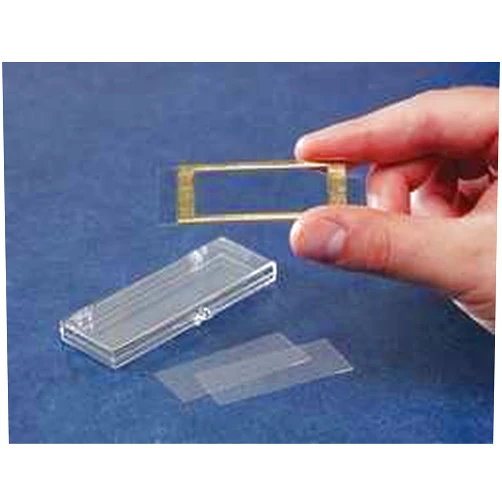 Wildco 549164 1801-G20 Gridded Sedwick Rafter Counting Cell