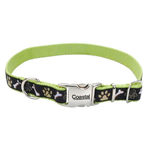 Coastal Pet - Ribbon - Adjustable Dog Collar with Metal Buckle, Brown Paws and Bones, 5/8