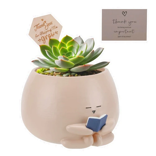 Onzbala Bookworm Planter Pot - Cute Plant Pots for Succulents with Thank You Sign & Card, Small Reading Planter for Indoor Outdoor Decor, Succulent Gifts for Book Lovers, Teacher Dad Mom Appreciation