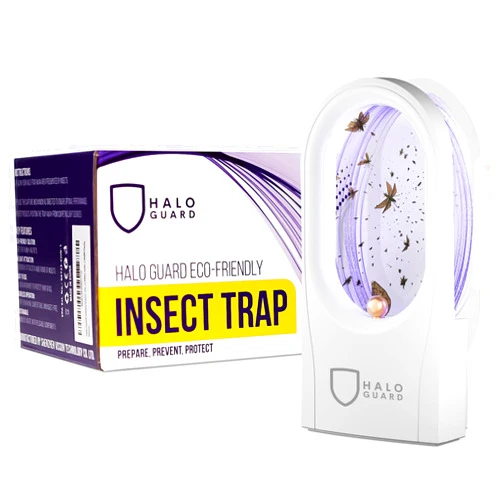 Halo Guard Fly Trap Indoor | Silent, Discreet Gnat, Mosquito, Moth and Fruit Fly Trap | 1 Plug-in with 3 Refills | Alternative to Bug Zapper | Non-Toxic, Safe for Kids & Pets
